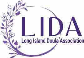 LIDA logo